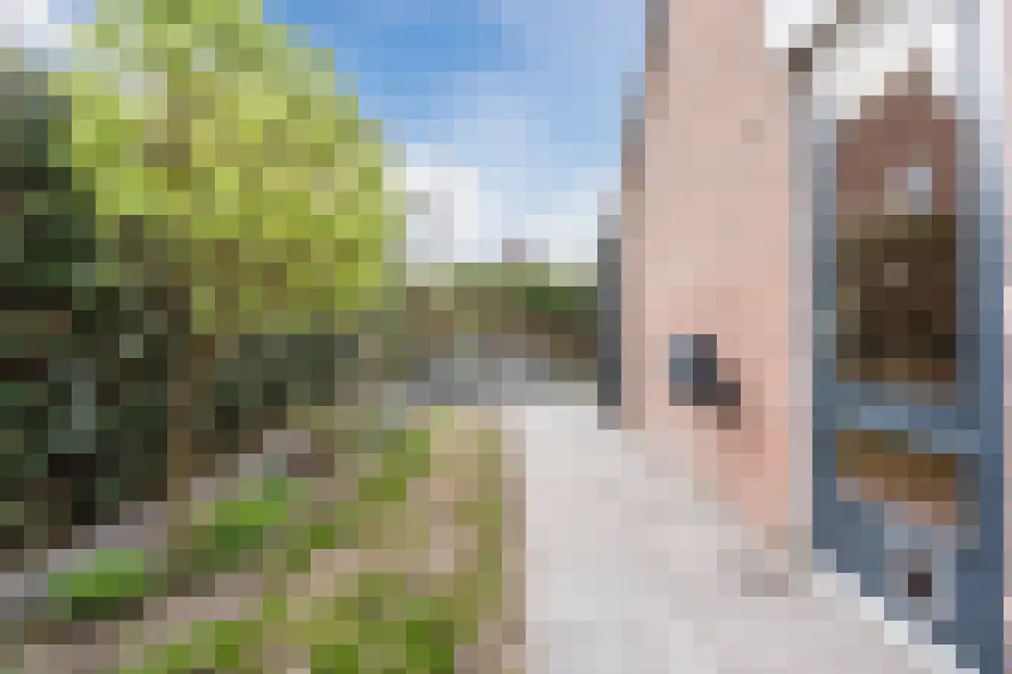 Luchtenstein 24 de Wijk thumbnail 34
