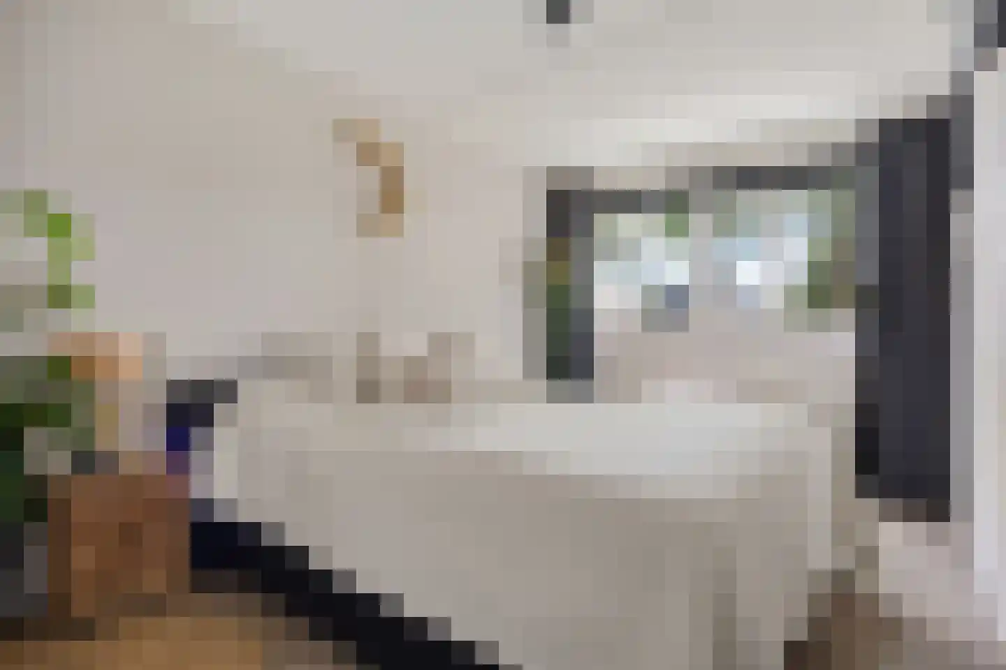 Luchtenstein 36 a de Wijk thumbnail 15