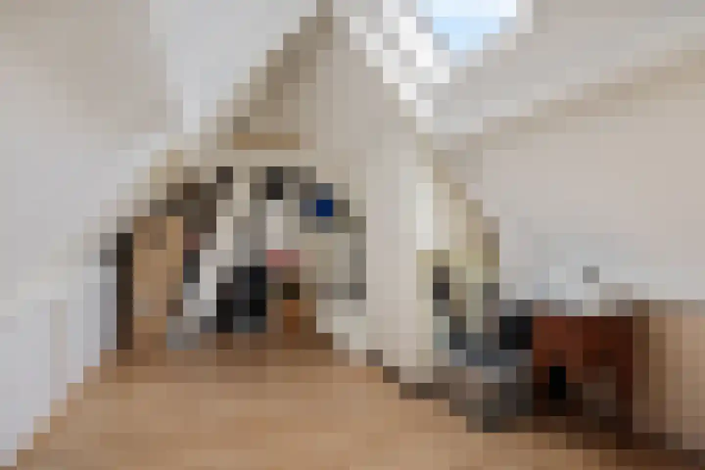 Luchtenstein 36 a de Wijk thumbnail 25