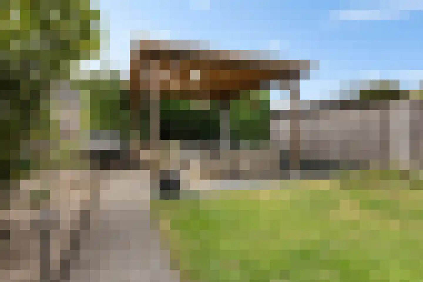 Luchtenstein 36 a de Wijk thumbnail 26