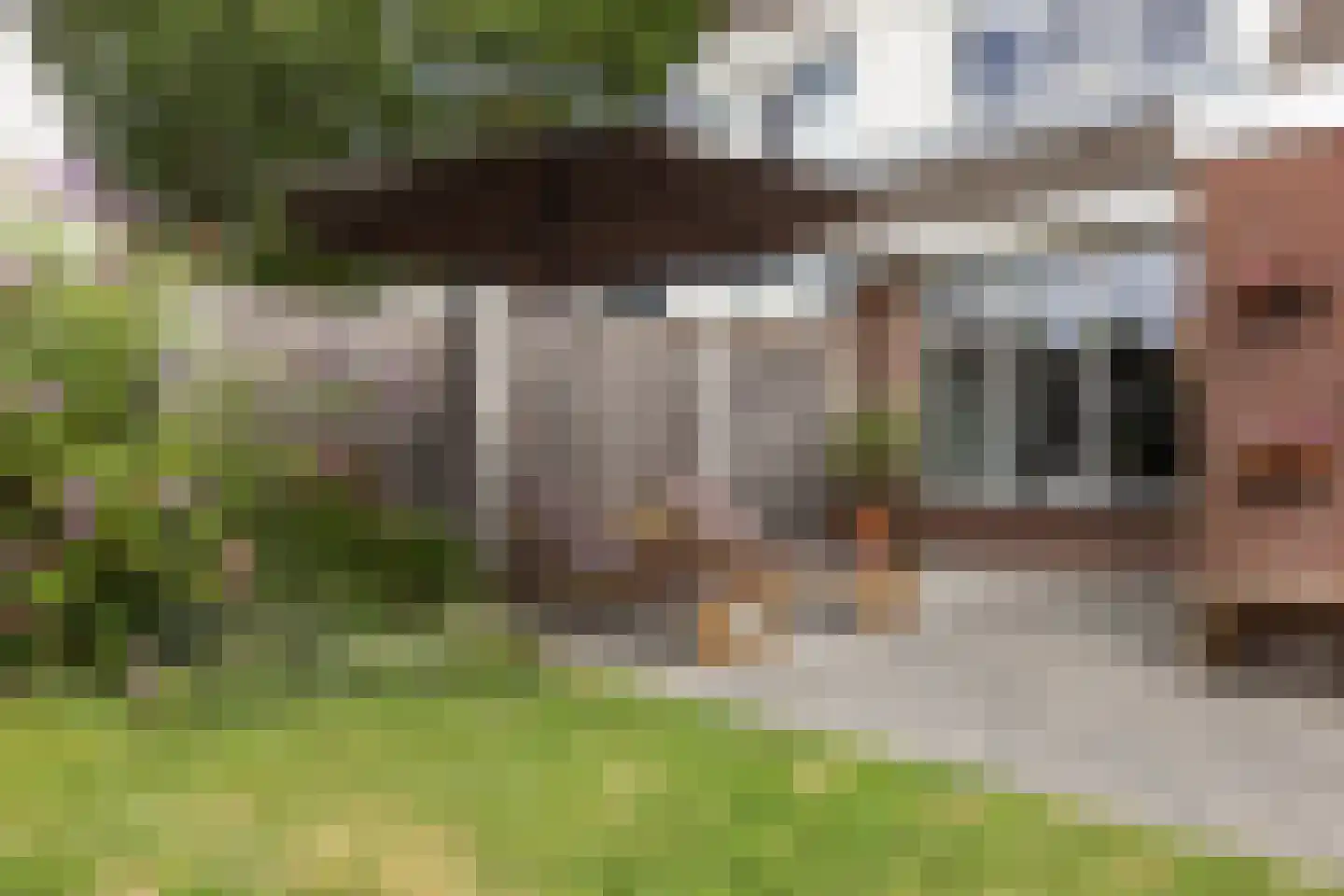 Luchtenstein 36 a de Wijk thumbnail 27