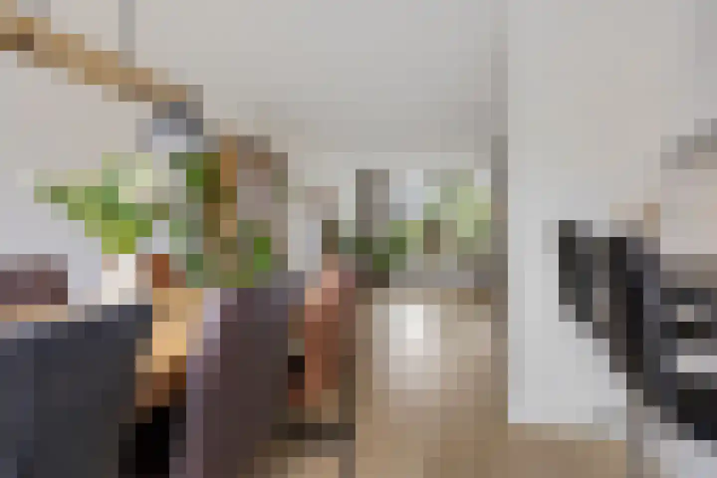 Luchtenstein 36 a de Wijk thumbnail 9