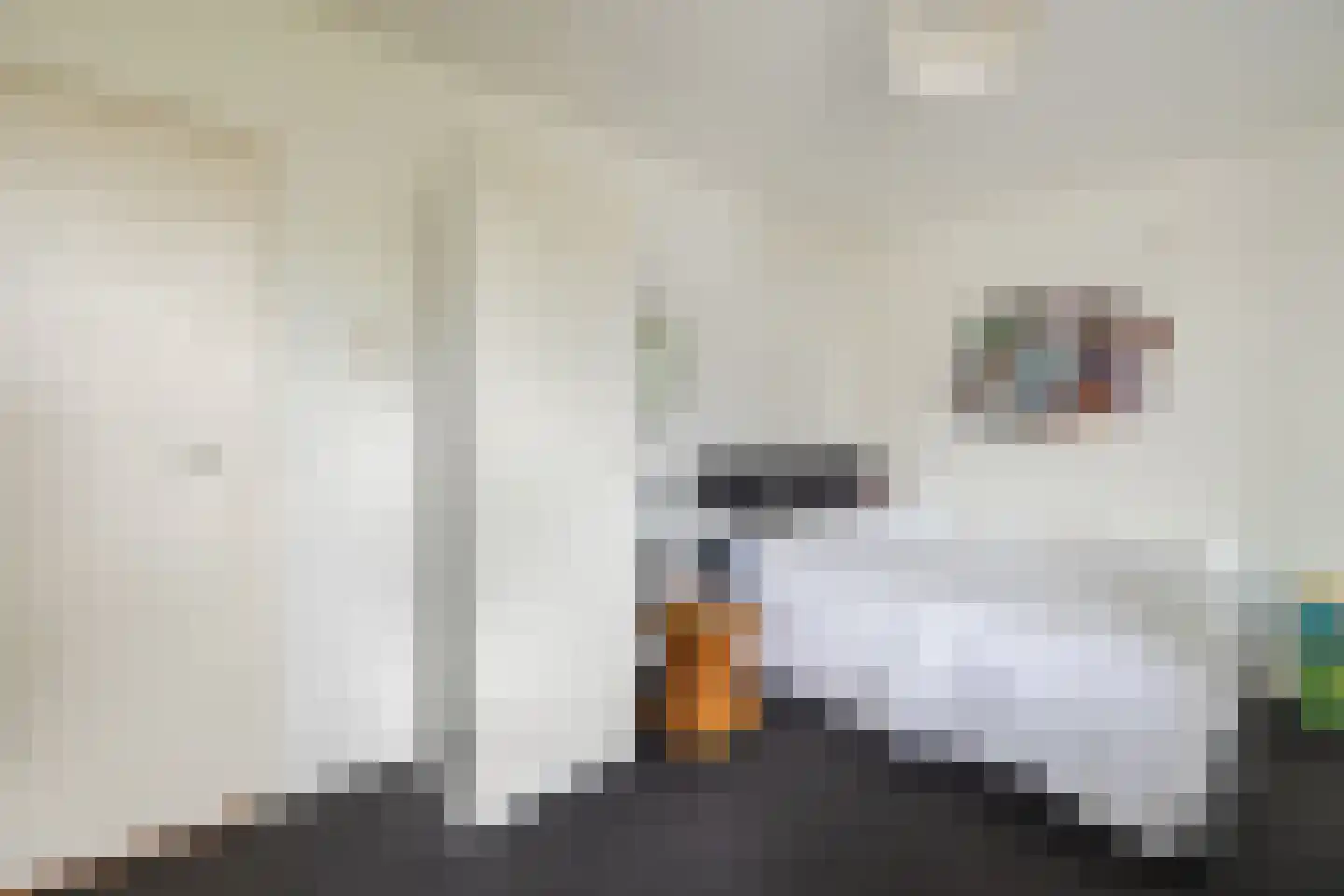 Luchthavenlaan 16 Tilburg thumbnail 17