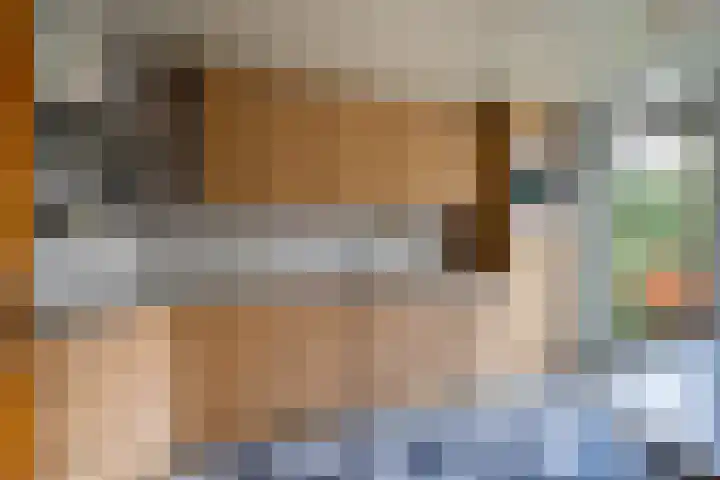 Luchthavenlaan 5 Tilburg thumbnail 12