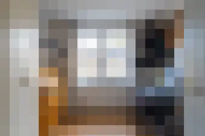 Luchthavenlaan 5 Tilburg thumbnail 21