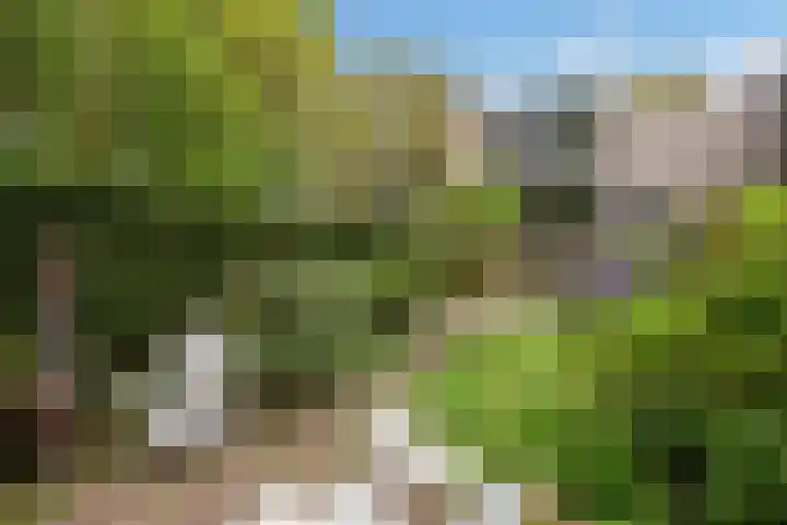 Luchthavenlaan 5 Tilburg thumbnail 24