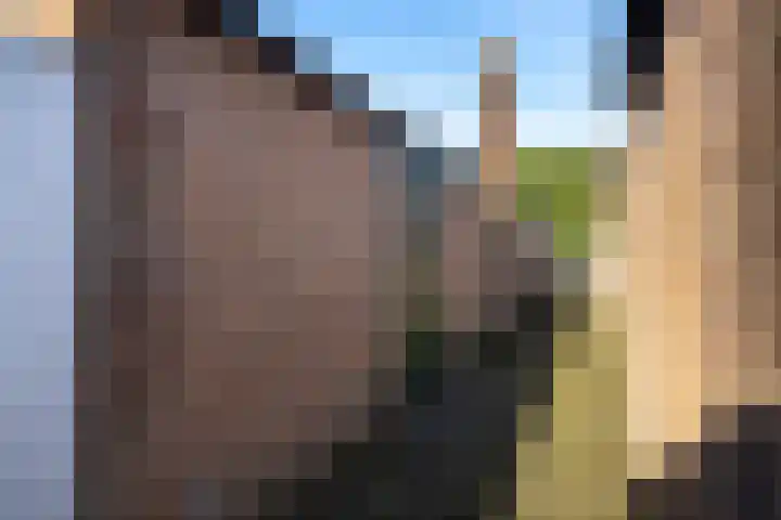 Luchthavenlaan 5 Tilburg thumbnail 29