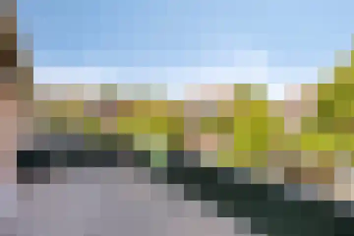 Luchtmansplein 23 Leiden thumbnail 30