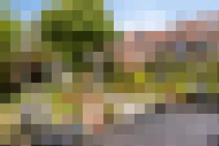Luchtmansplein 23 Leiden thumbnail 38