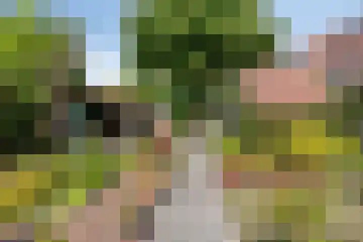 Luchtmansplein 23 Leiden thumbnail 40