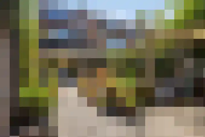 Luchtmansplein 23 Leiden thumbnail 41