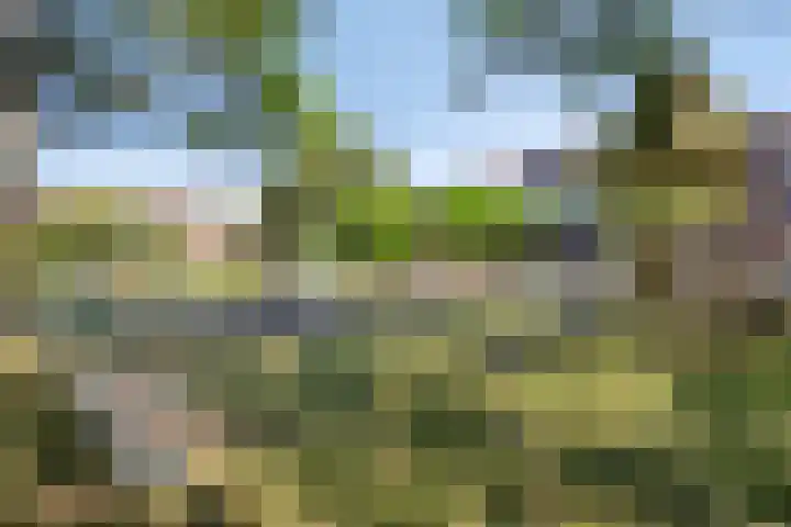 Luchtmansplein 23 Leiden thumbnail 43