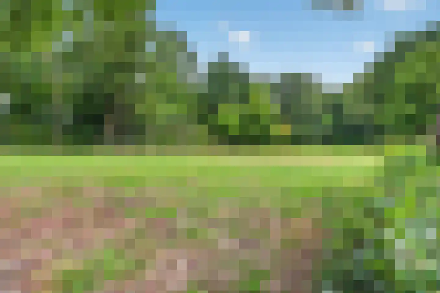 Luciadal 10 Valkenswaard thumbnail 59
