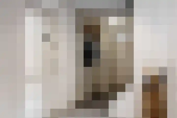Luciastraat 36 Neeritter thumbnail 4