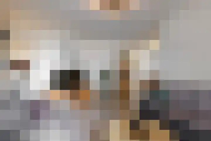 Luciastraat 36 Neeritter thumbnail 7