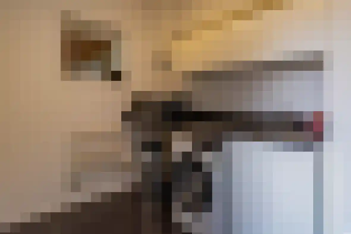 Luciastraat 38 Beek thumbnail 18