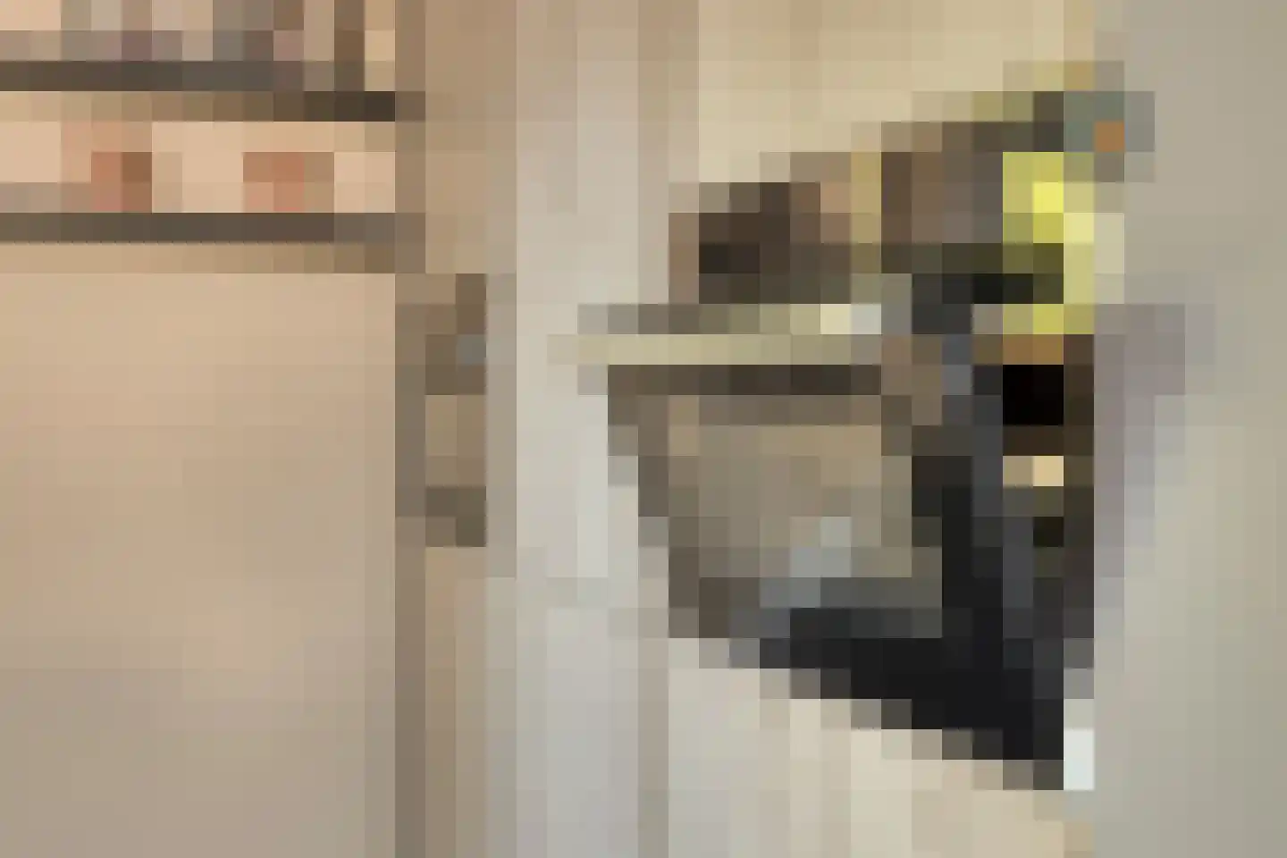 Luciastraat 54 Beek thumbnail 10