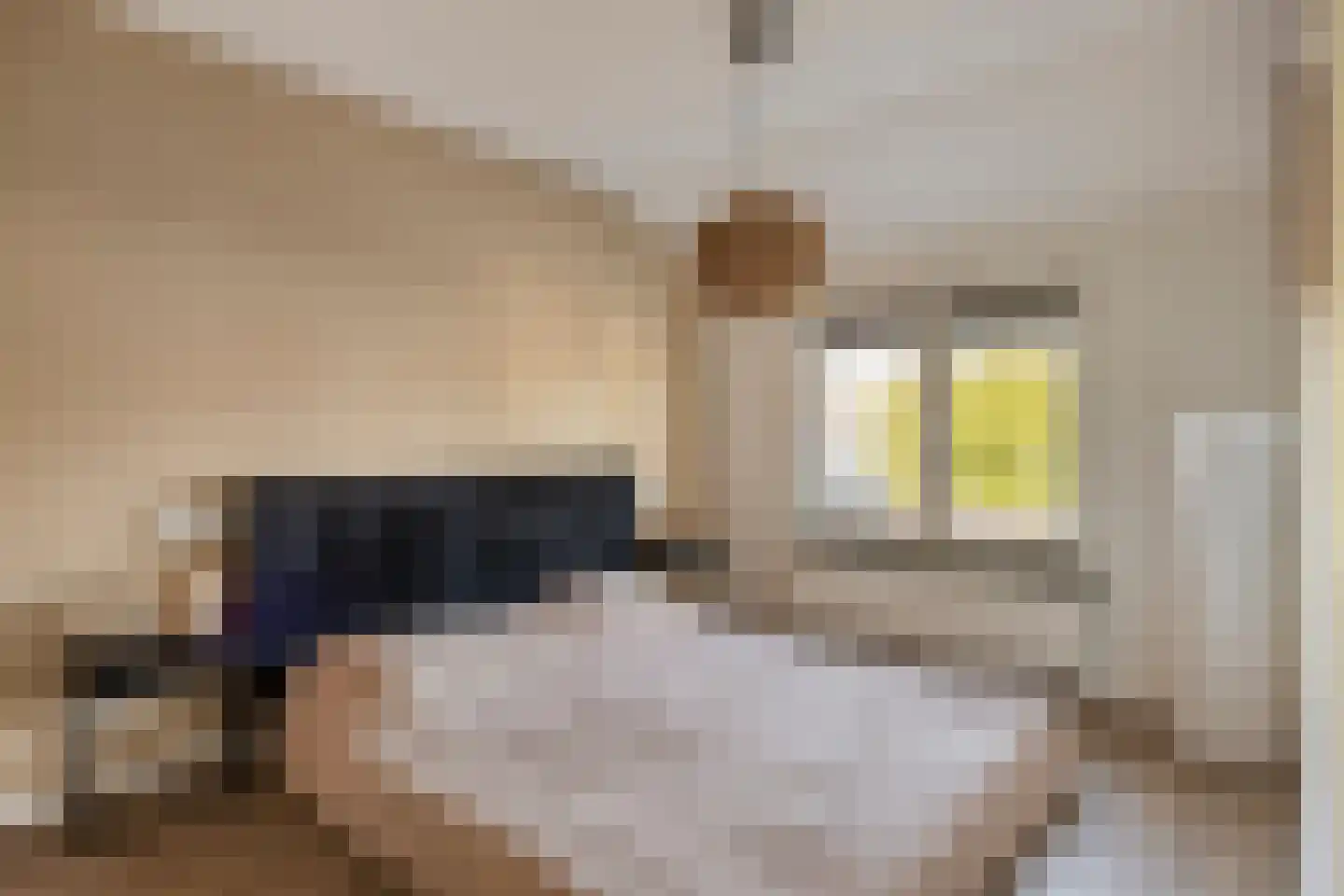 Luciastraat 54 Beek thumbnail 20