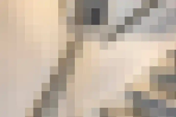 Luciastraat 59 Beek thumbnail 14
