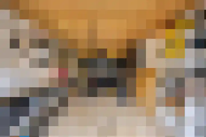 Luciastraat 59 Beek thumbnail 23
