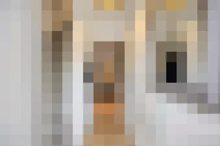 Luciastraat 59 Beek thumbnail 6