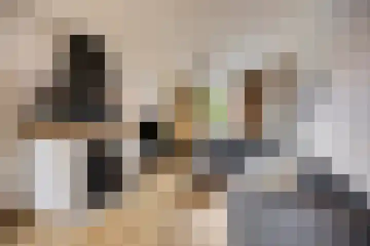 Luciastraat 59 Beek thumbnail 7