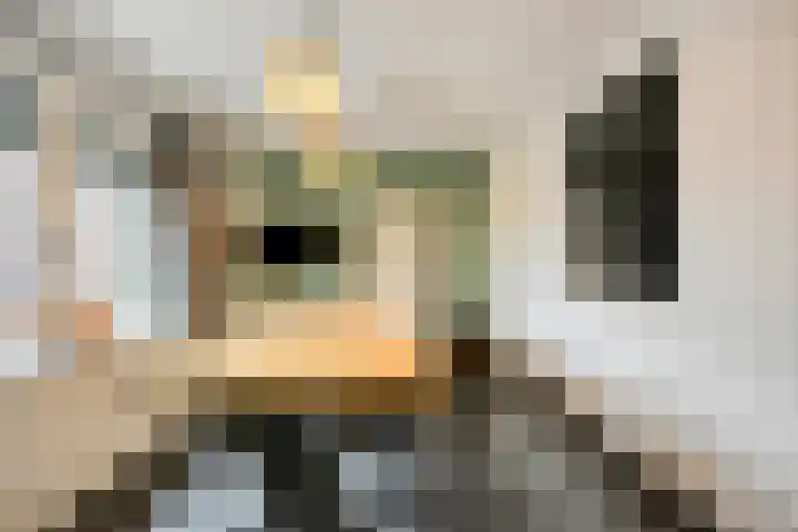 Luciastraat 59 Beek thumbnail 8