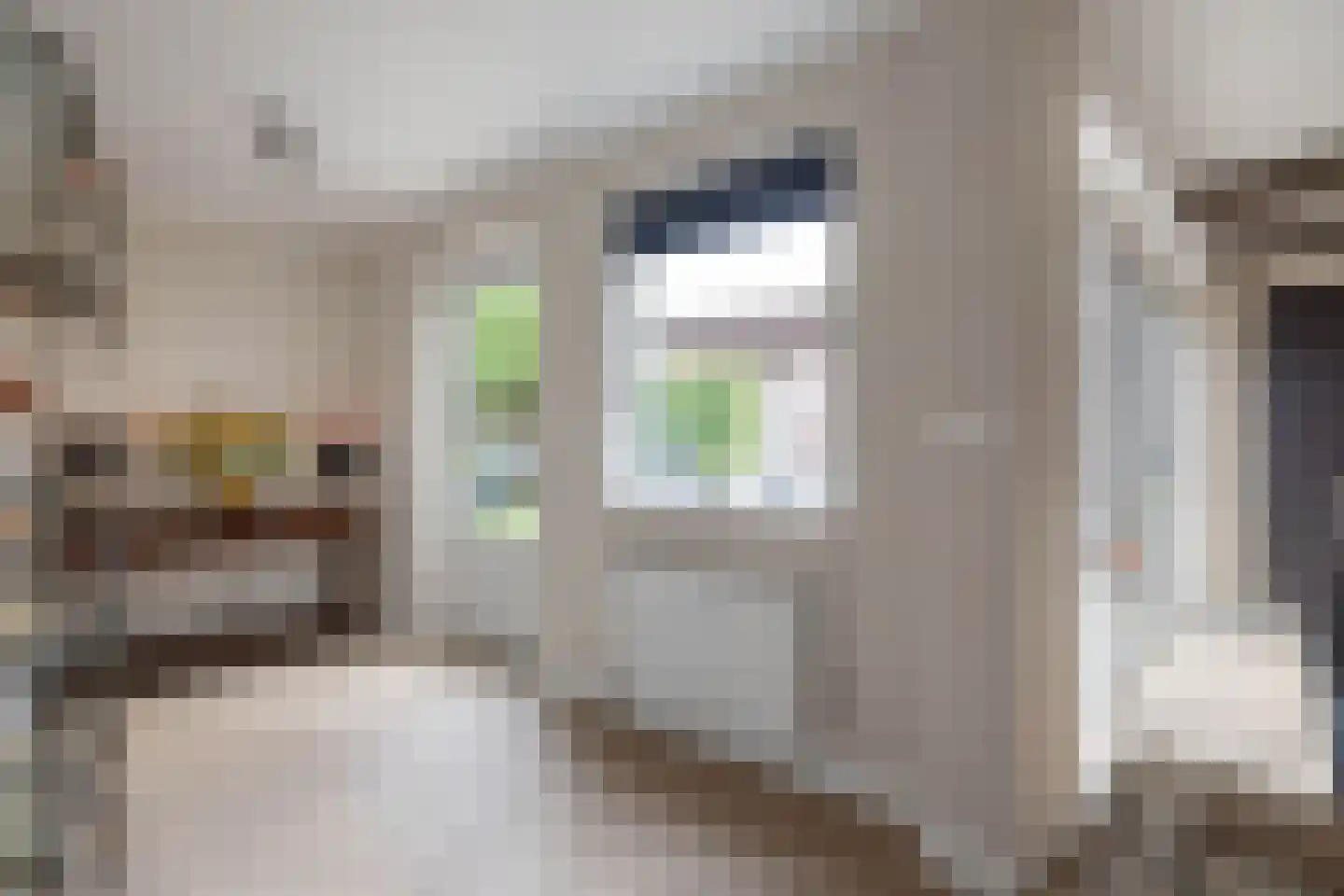 Luciastraat 6 Hengelo thumbnail 11