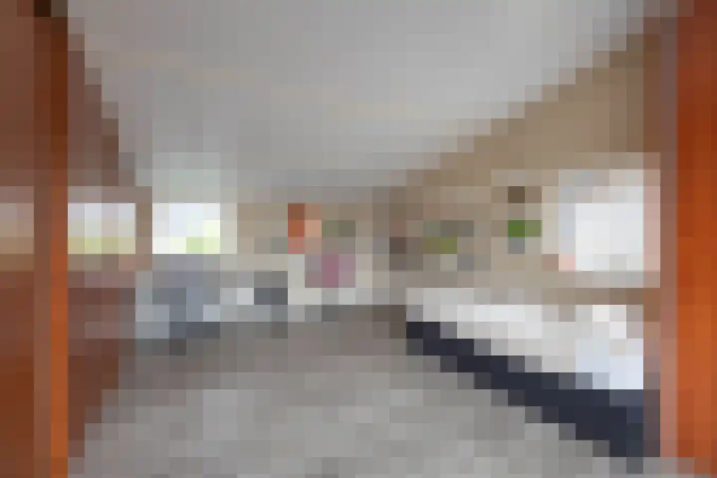 Luciastraat 6 Hengelo thumbnail 26