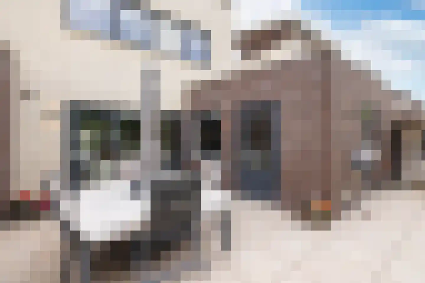 Luciastraat 6 Hengelo thumbnail 33