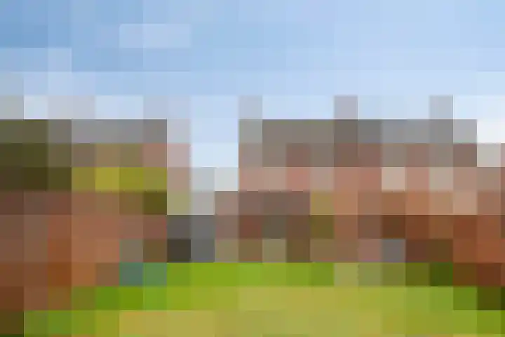 Luciastraat 7 Neeritter thumbnail 29