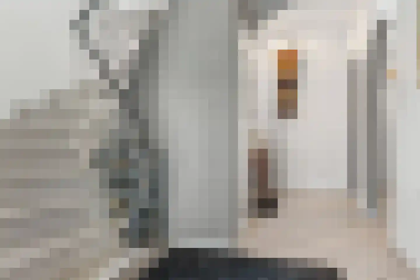 Lucie Vuylstekeweg 5 Rotterdam thumbnail 20