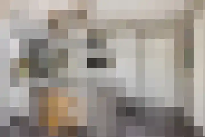 Luciusstraat 13 Boekel thumbnail 10