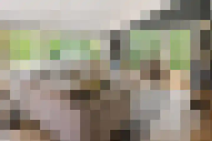 Luciusstraat 13 Boekel thumbnail 12