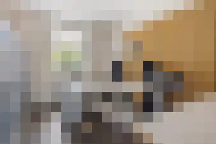 Luciusstraat 13 Boekel thumbnail 16