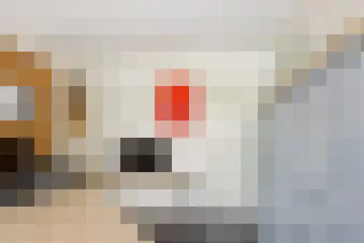 Luciusstraat 13 Boekel thumbnail 17