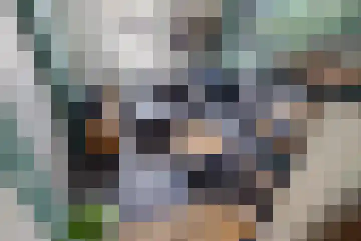 Luciusstraat 13 Boekel thumbnail 19