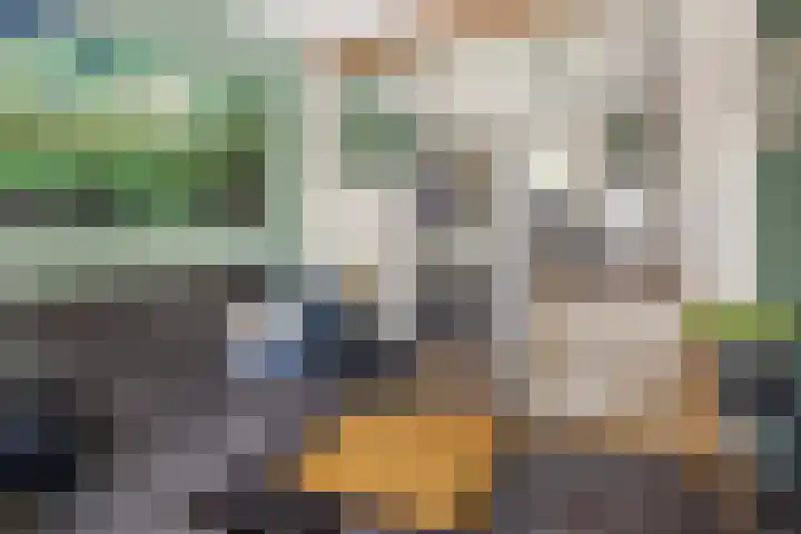 Luciusstraat 13 Boekel thumbnail 20