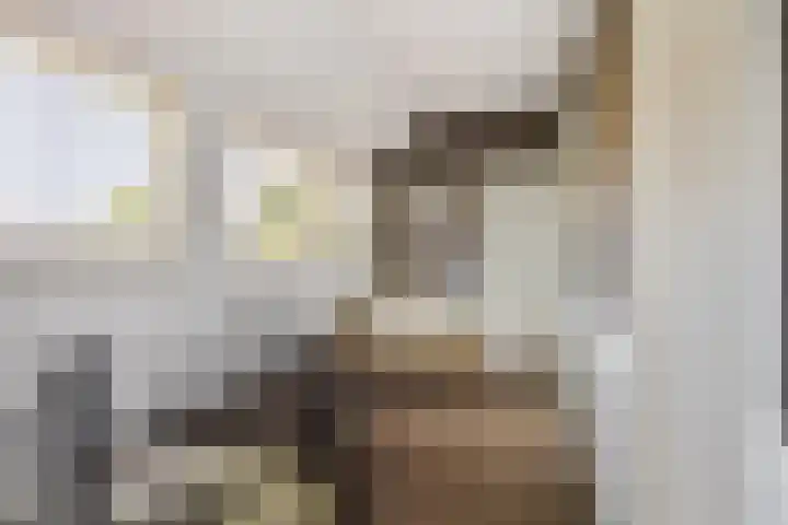 Luciusstraat 13 Boekel thumbnail 23