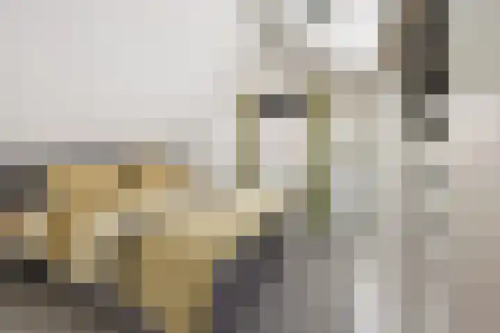 Luciusstraat 13 Boekel thumbnail 24