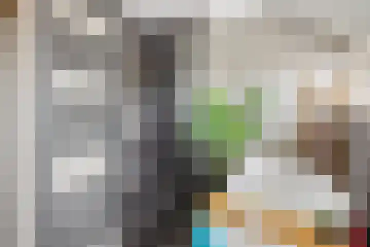 Luciusstraat 13 Boekel thumbnail 29