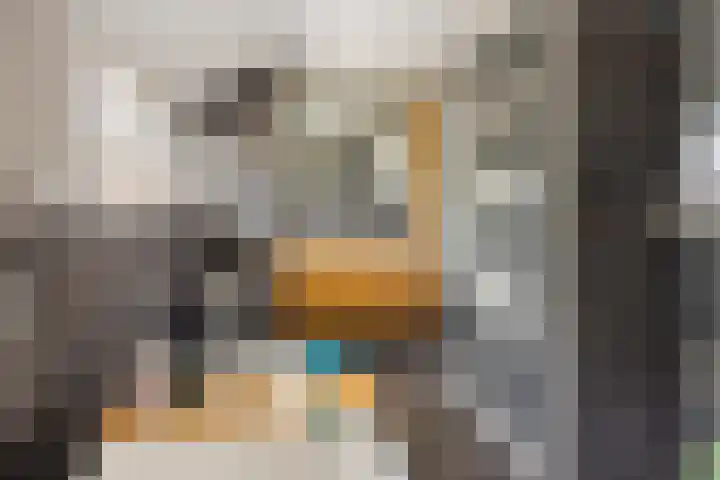 Luciusstraat 13 Boekel thumbnail 30