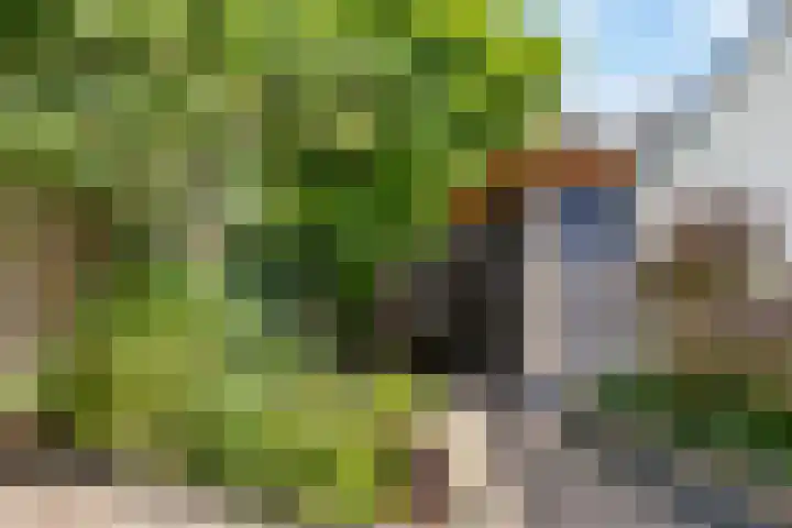 Luciusstraat 13 Boekel thumbnail 36