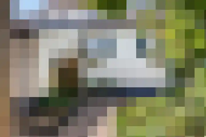 Luciusstraat 13 Boekel thumbnail 37