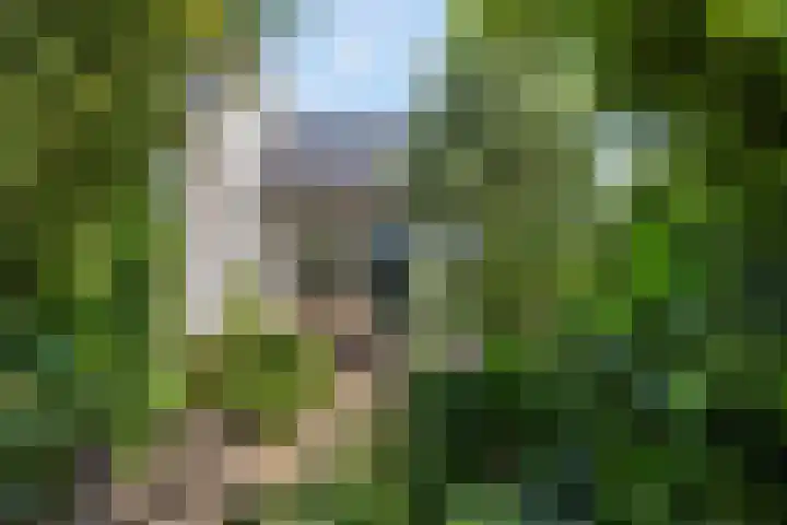 Luciusstraat 13 Boekel thumbnail 38