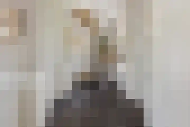 Luciusstraat 13 Boekel thumbnail 4