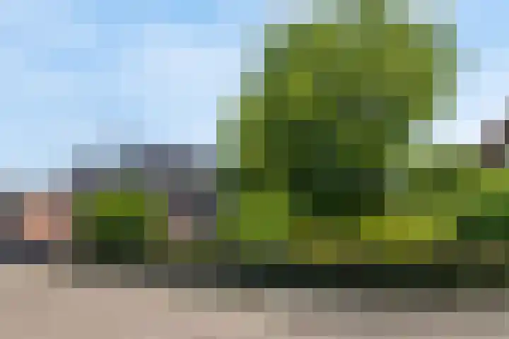 Luciusstraat 13 Boekel thumbnail 40