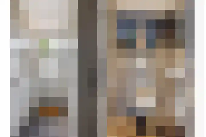 Luciusstraat 13 Boekel thumbnail 5