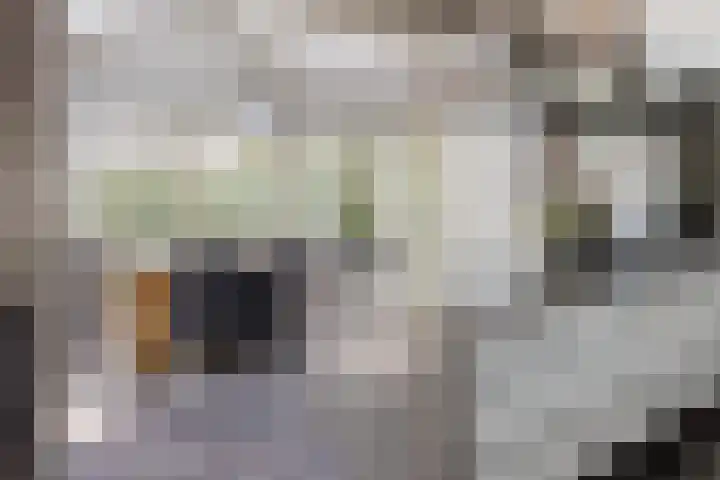 Luciusstraat 13 Boekel thumbnail 6