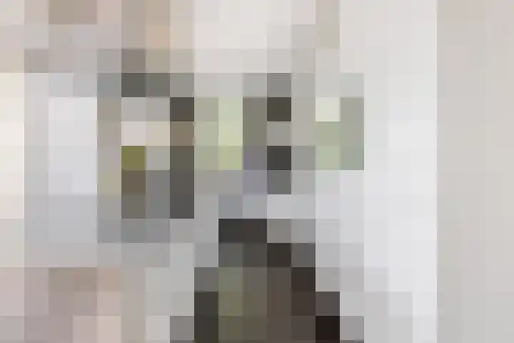 Luciusstraat 13 Boekel thumbnail 7